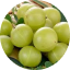 Amla