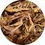 Jivanti