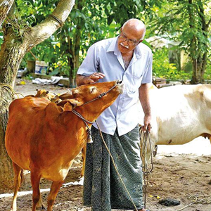 Rajesh Kumar